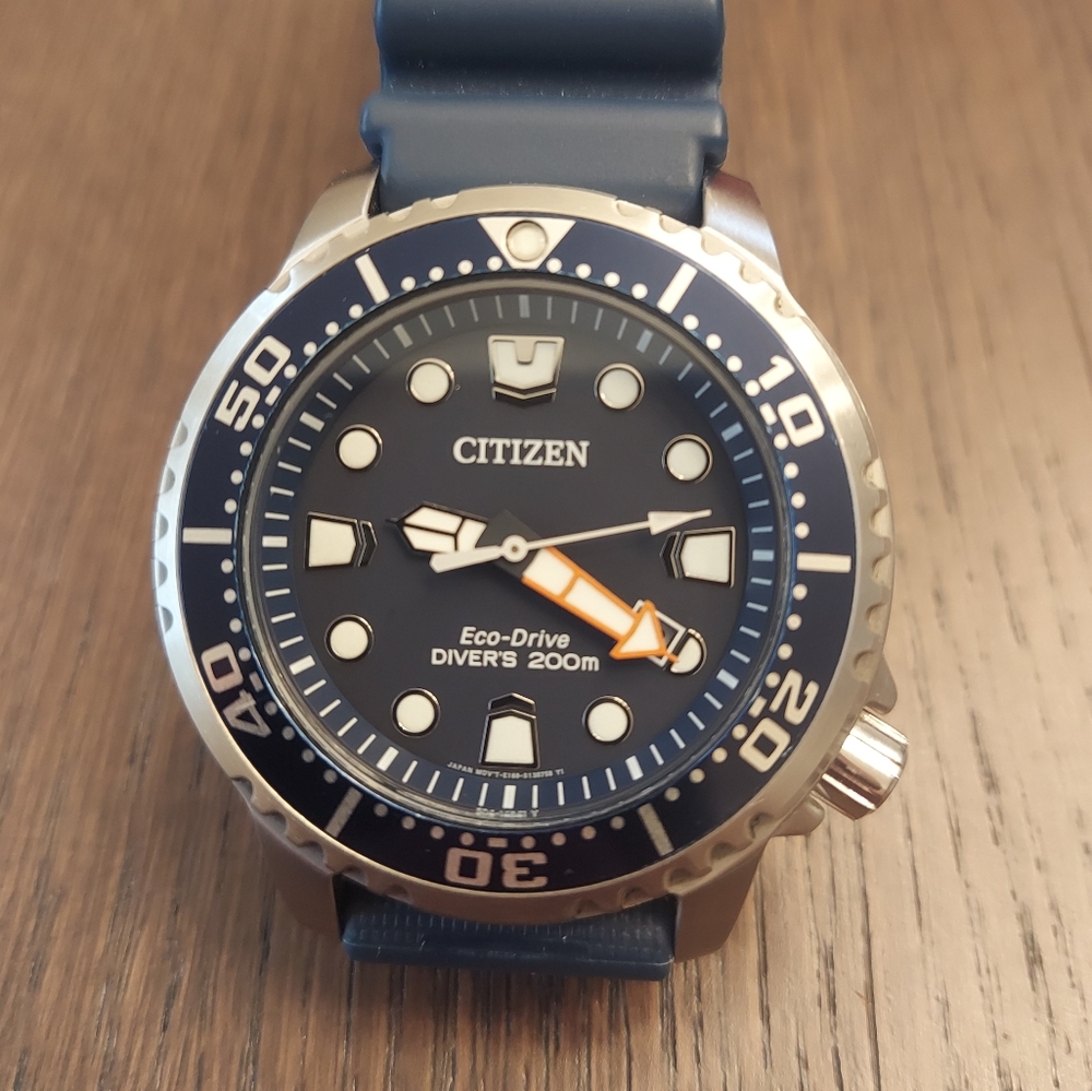 Citizen ProMaster Eco-Drive Dive Watch (BN0151-09L)